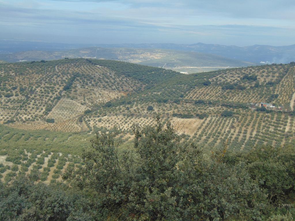 Hotel Sierra De Araceli Люсена Экстерьер фото