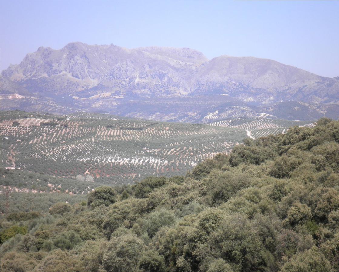 Hotel Sierra De Araceli Люсена Экстерьер фото