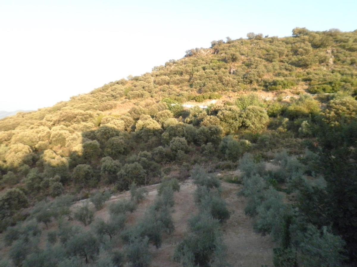 Hotel Sierra De Araceli Люсена Экстерьер фото